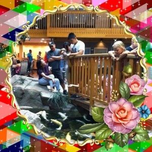 Meet your Posher, Rante